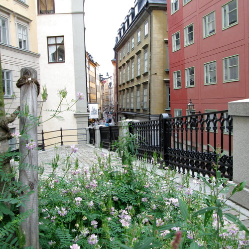 Toinen lukijakuva viikolle 6